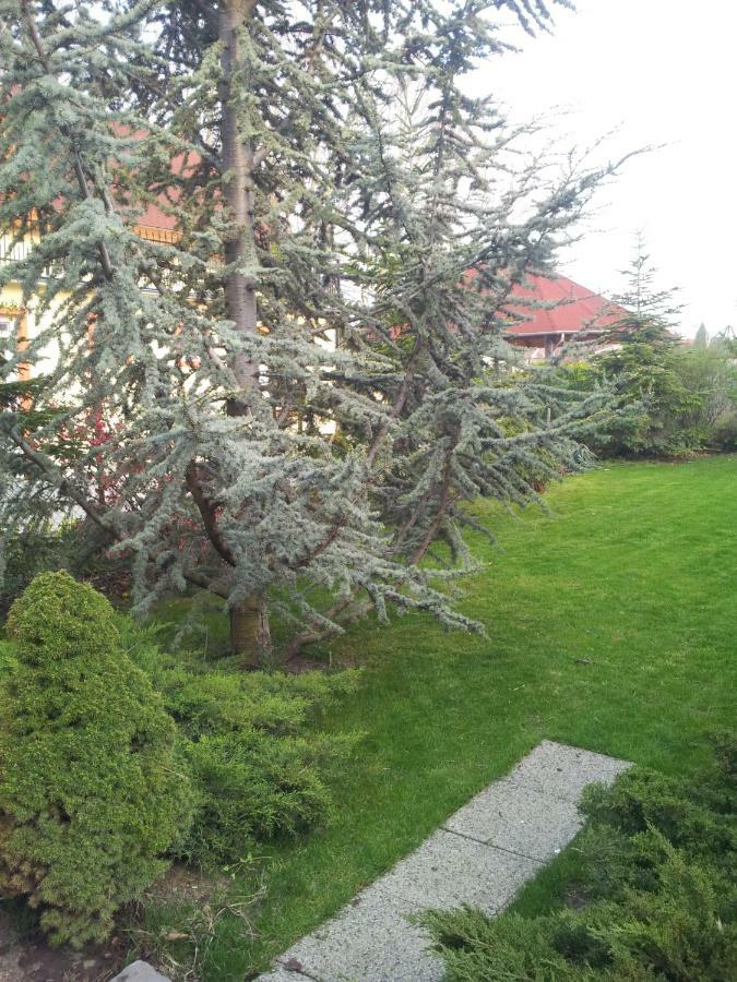 Anna Villa Balatonlelle Exteriör bild